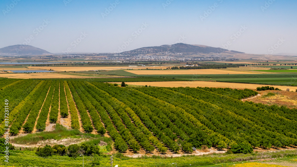 The panoramic view from Tel Megiddo Nation Park of the Jezreel Valley in northern Israel.
