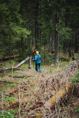 A person wearing a blue jacket strolls through a woodland area
