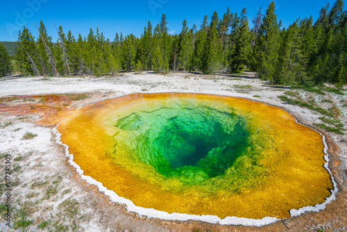 close up on Morning glory pool in Yellowstone National Park
