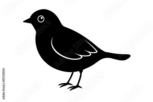 peep bird vector silhouette illustration