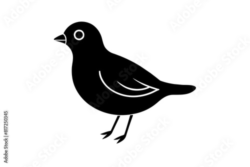 peep bird vector silhouette illustration