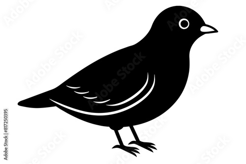 peep bird vector silhouette illustration