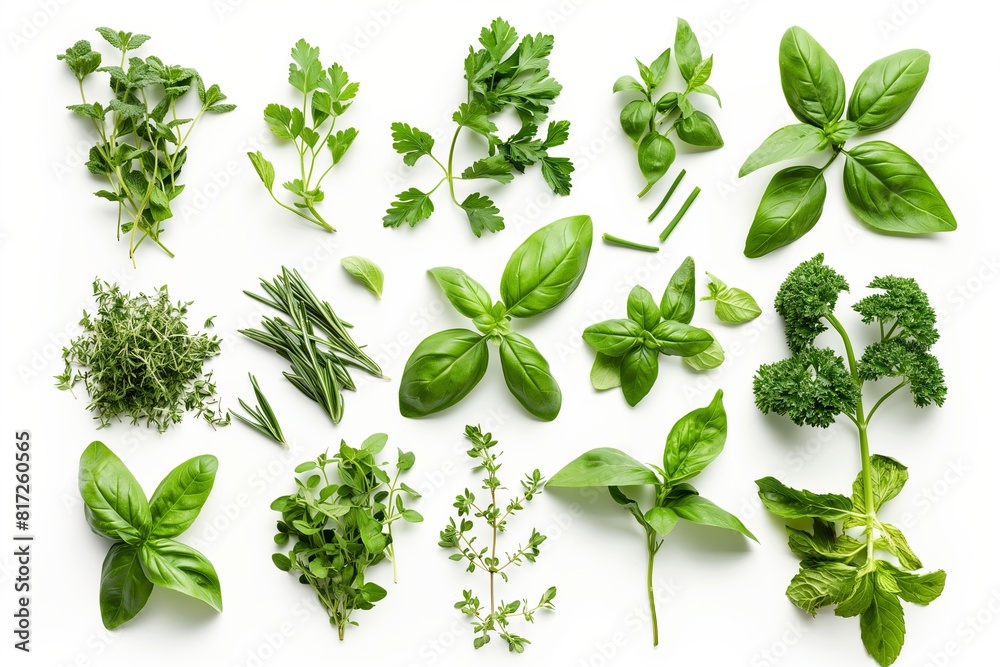Various organic herbs like parsley, basil, mint arranged in bundles and chopped on white background Various organic herbs like parsley, basil, mint arranged in bundles and chopped on white background