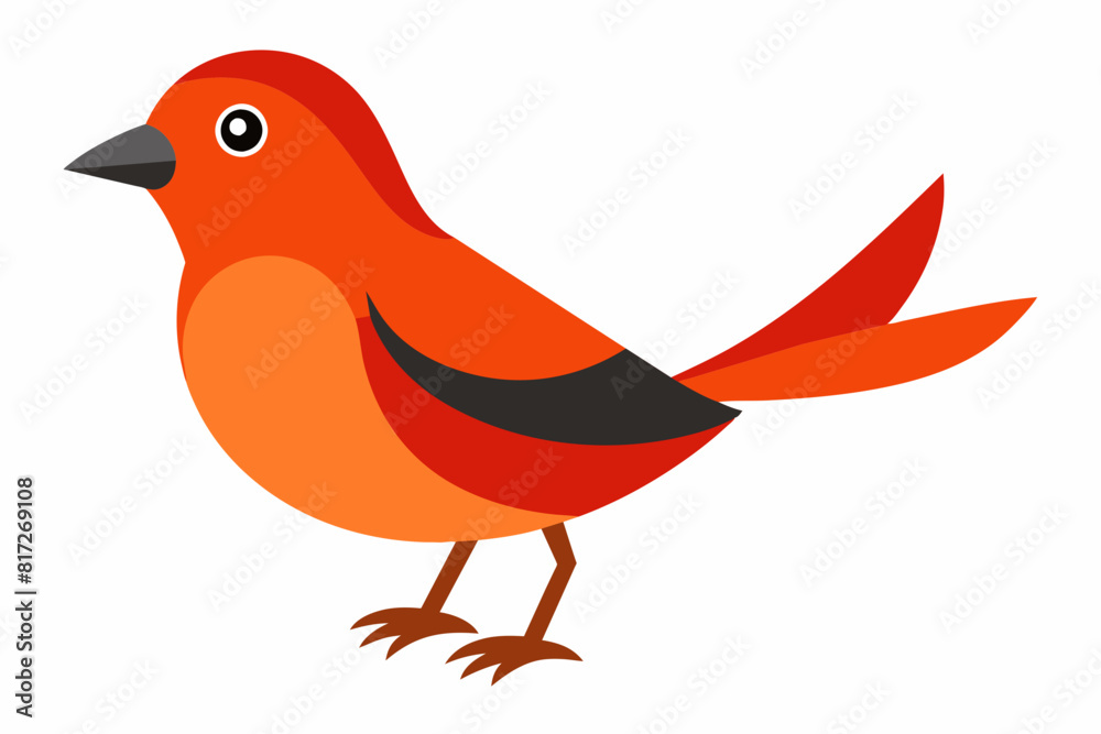 pippin bird cartoon vector illustration pippin bird cartoon vector illustration