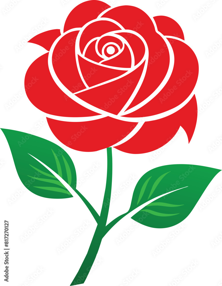Red roses isolated on white background Red roses isolated on white background