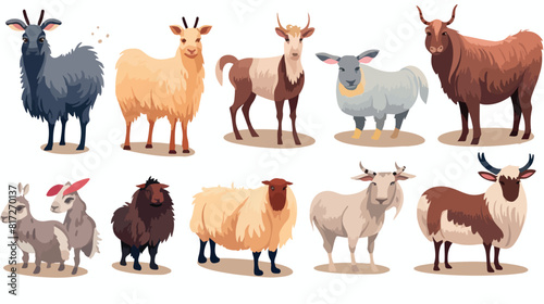 Set of farm animals in all growth. Colored sketch i