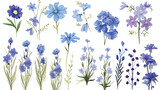 Set of hand drawn blue flowers - lavender forget me
