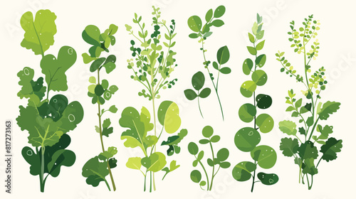 Set of hand drawn different micro-green plants sket