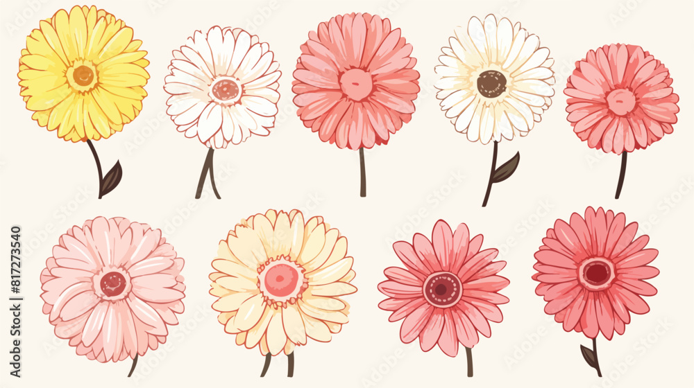 Set of hand drawn white pink yellow and red gerbera