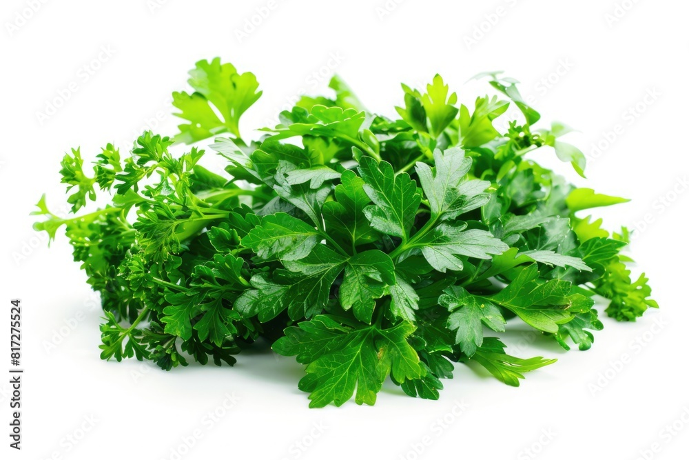 Herb White Background. Fresh Organic Green Spices Isolated on Aromatic White Background Herb White Background. Fresh Organic Green Spices Isolated on Aromatic White Background