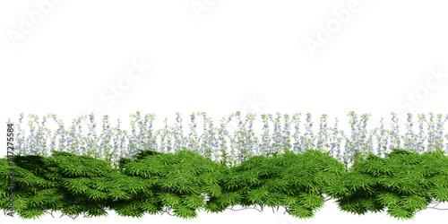 3d render brush tree isolated on white