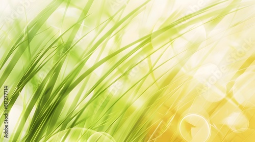 Fresh Spring Grass with Sunlight Bokeh Background