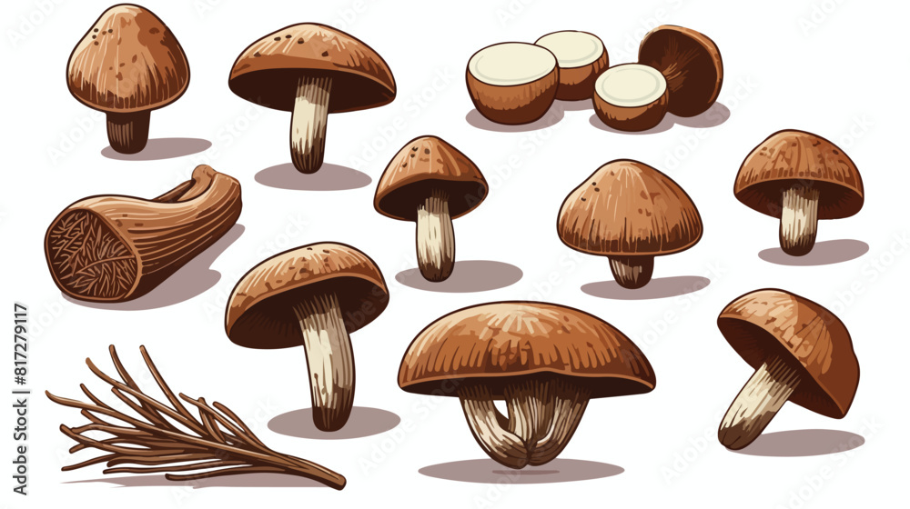 Set of shiitake edible mushrooms sketch style vecto