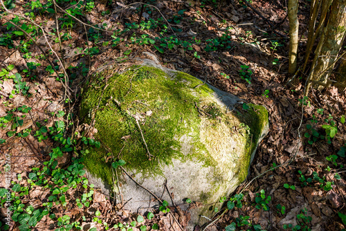 A boulder overgrown with green moss lying in the forest