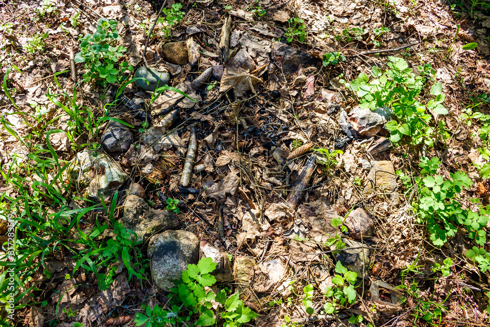 Old overgrown fire pit lined with stones in the forest Old overgrown fire pit lined with stones in the forest