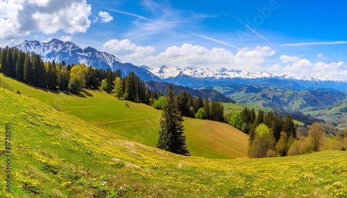 scenic panoramic view of idyllic rolling hills landscape with blooming meadows and snowcapped alpine mountain peaks in the background on a beautiful sunny day with blue sky and clouds in springtime