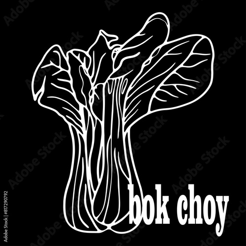bok choy illustration 