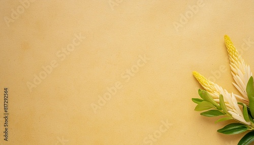 old yellow paper texture background