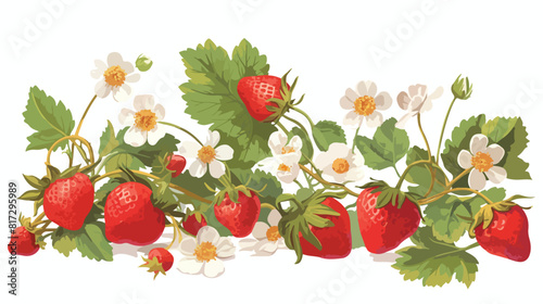 Strawberry branch with fresh ripe berries blooming