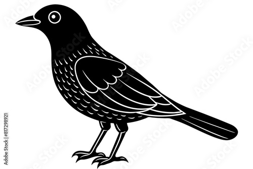 doodle vector silhouette illustration