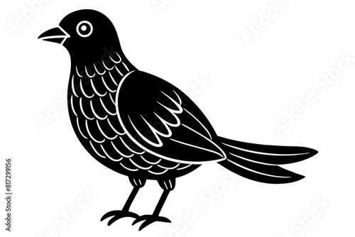 doodle bird vector silhouette illustration