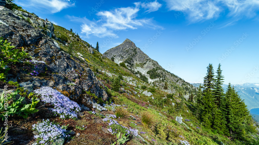 Fototapeta premium Mountain side with flowers blooming