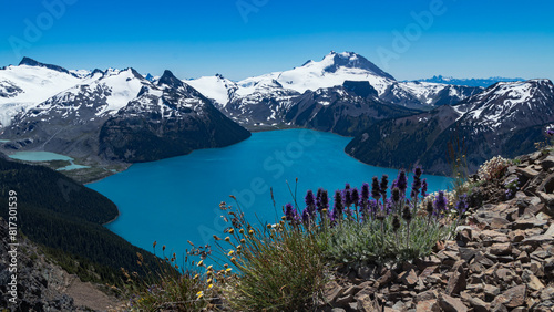 Mountain lake with flowers