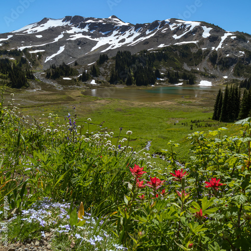 mountain with flower and lake