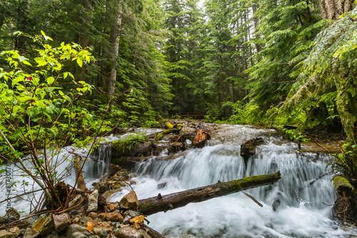 river with waterfall and bridge in forest