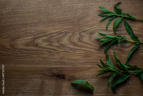 Mint plant on wooden table
