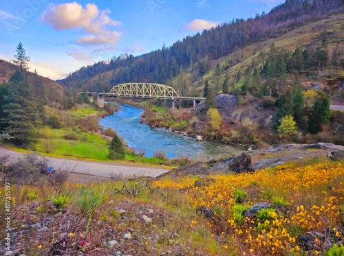 Spring at the river. photo