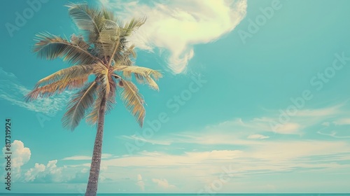 Abstract background of a palm tree on a tropical beach with a blue sky and white clouds.