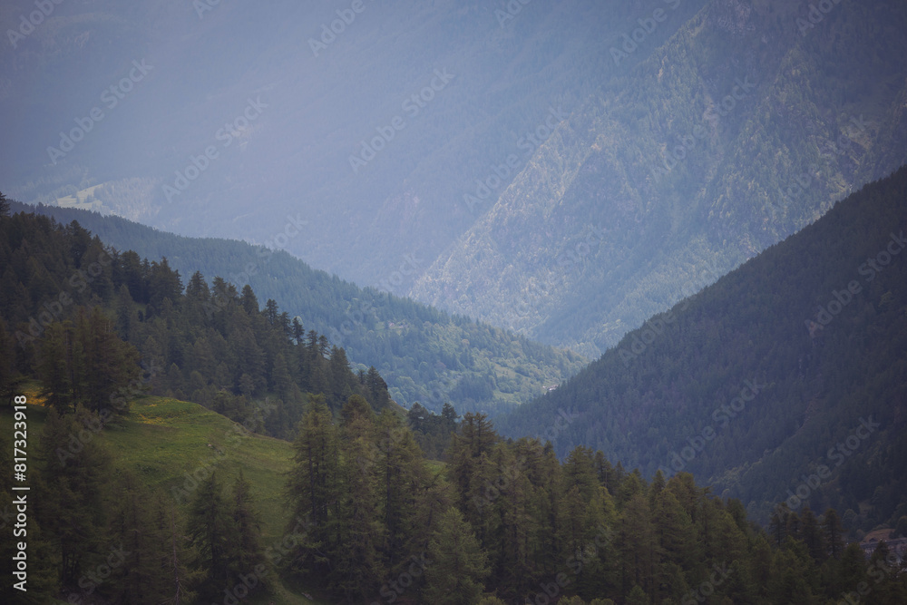 Obraz premium Mountain valley landscape in italian alps, Italy, Europe . landscape during summer season.