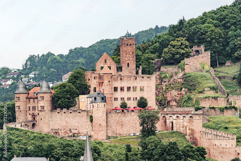 View on castle in Wertheim, Germany