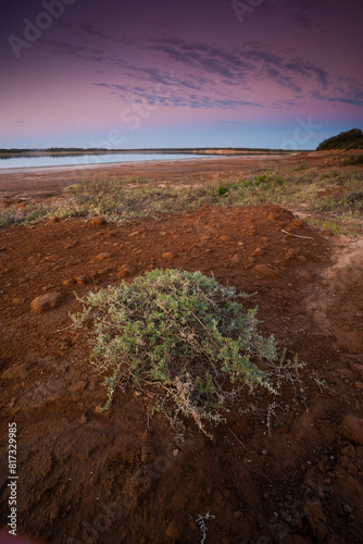 Semi desert environment landcape, La Pampa province, Patagonia, Argentina. photo