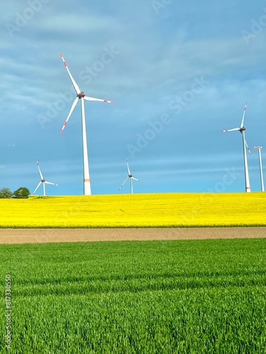 wind turbines farm