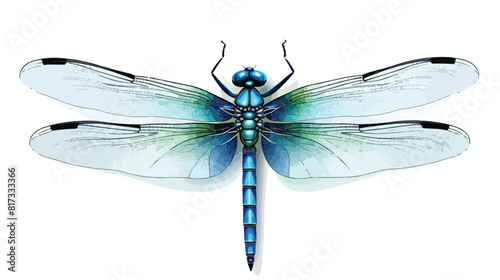 Top view of blue dragonfly with transparent wings s