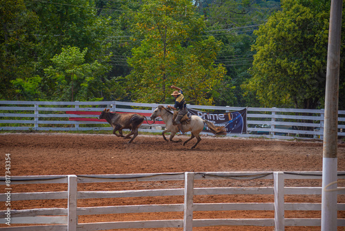 Rodeo in the City of Marau photo