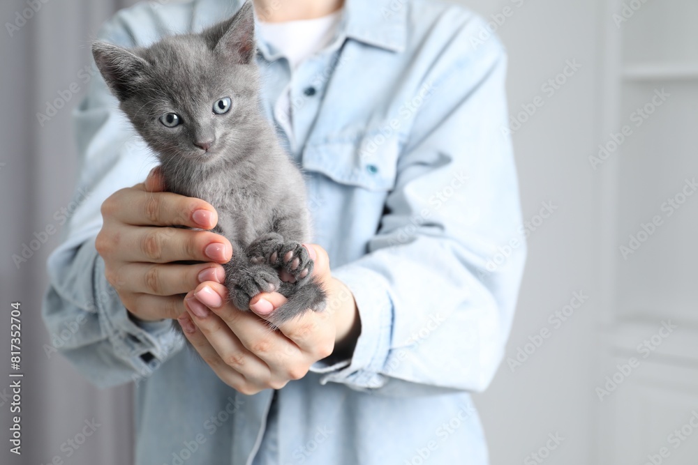 Woman with cute fluffy kitten indoors, closeup