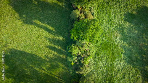 Luftaufnahme von grünen Bäumen und Naturlandschaft photo