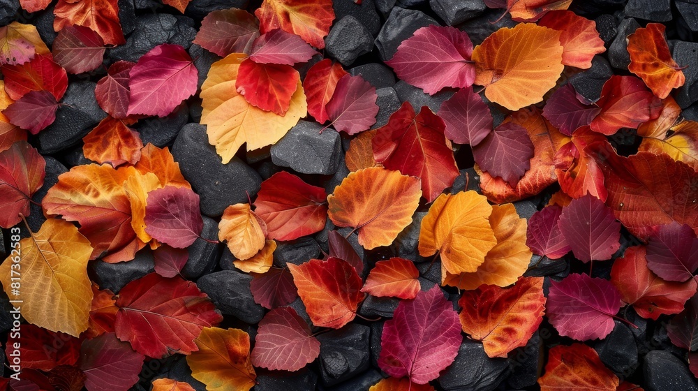 fall foliage display, the ground is covered in a colorful display of red, orange, and yellow leaves, reminiscent of natures celebratory confetti for the changing season fall foliage display, the ground is covered in a colorful display of red, orange, and yellow leaves, reminiscent of natures celebratory confetti for the changing season