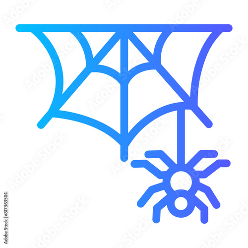 spider web