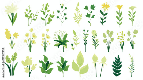 Vector cartoon abstract green plant set icon. Wild