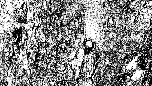 4-34. Wood Surface Texture Effect - Illustration Old Wood Black and White Vector Texture.