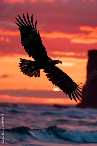 Dramatic Moments: Silhouette of an Eagle Soaring Against a Sunset Sky © Jean