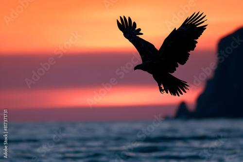Dramatic Moments: Silhouette of an Eagle Soaring Against a Sunset Sky