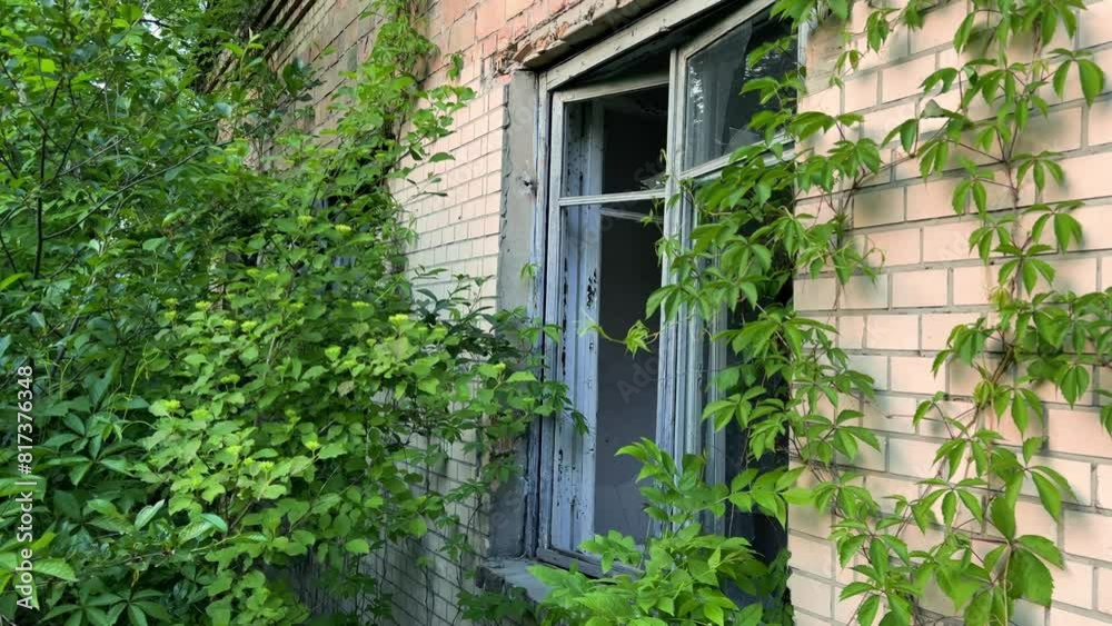 Unveiling Nature's Reclamation: A Broken Window Frames the Eerie Beauty of an Abandoned, Overgrown Ruin Unveiling Nature's Reclamation: A Broken Window Frames the Eerie Beauty of an Abandoned, Overgrown Ruin