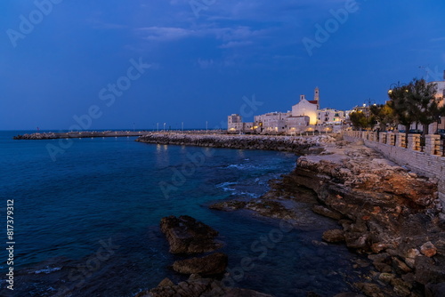 Panorama dopo il tramonto di Giovinazzo(Bari Puglia) con particolare della cattedrale photo