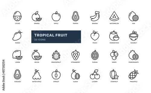 tropical fruit nature food tropism healthy detailed line icon set