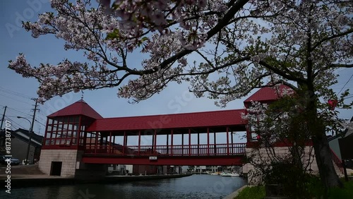 桜咲く内川に架かる東橋 （富山県射水市, 2024年4月） photo